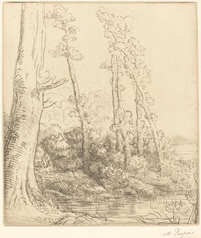 Mała klacz Pond La petite. autorstwa Alphonse Legros