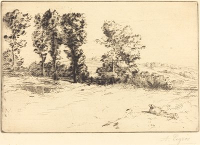 Łąka w Sunshine Le pre ensoleille. autorstwa Alphonse Legros