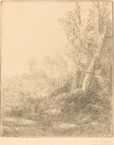 Stare Miasto Stare Miasto. autorstwa Alphonse Legros