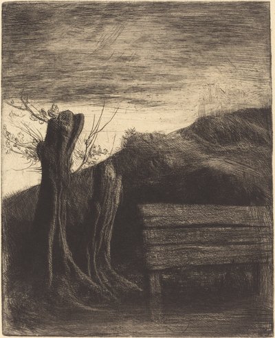 Pollard Willows Les saules tetards. autorstwa Alphonse Legros