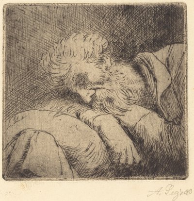 Śpiący żebrak Śpiący żebrak. autorstwa Alphonse Legros