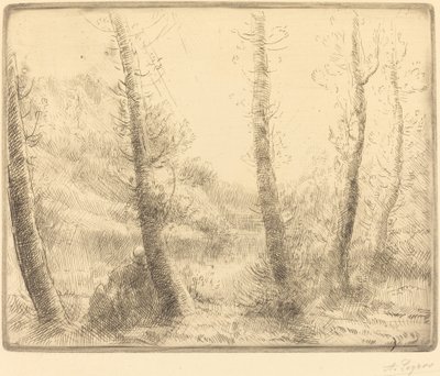 Małe jezioro autorstwa Alphonse Legros