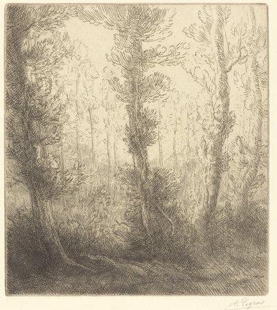 Małe jezioro Małe jezioro. autorstwa Alphonse Legros
