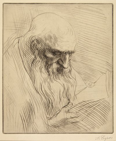 Studium starego mężczyzny czytającego autorstwa Alphonse Legros