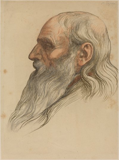 Studium głowy mężczyzny z pełną brodą. autorstwa Alphonse Legros