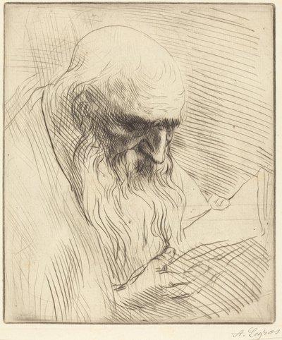  autorstwa Alphonse Legros