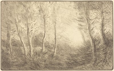Wschód słońca, lasy Clamard autorstwa Alphonse Legros