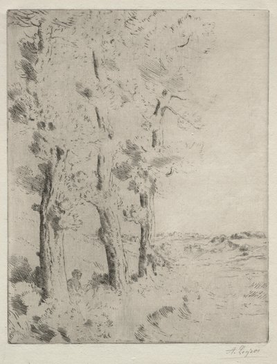 Lektor: Wykład pod drzewami, c. 1882. autorstwa Alphonse Legros