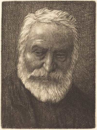 Victor Hugo, 2. płyta. autorstwa Alphonse Legros