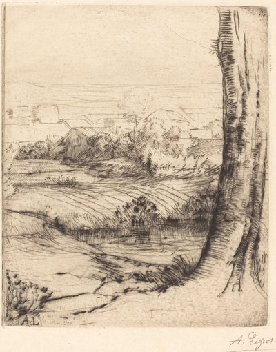 Widok na stroiki Coin de roseau. autorstwa Alphonse Legros
