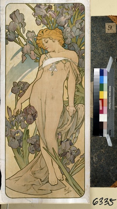 Iris (część serii kwiatów). Grafika autorstwa Alfonsa Marii Muchy (Alphonse Marie Mucha autorstwa Alphonse Marie Mucha