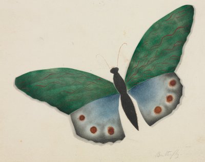 Motyl (akwarela) autorstwa Altha Mary Nims