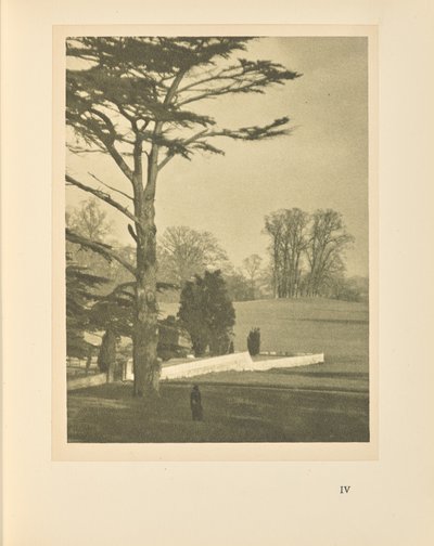 Krawędź ogrodu autorstwa Alvin Langdon Coburn