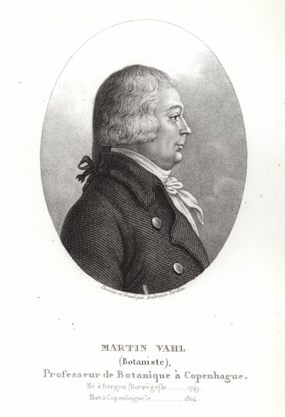 Martin Vahl autorstwa Ambroise Tardieu
