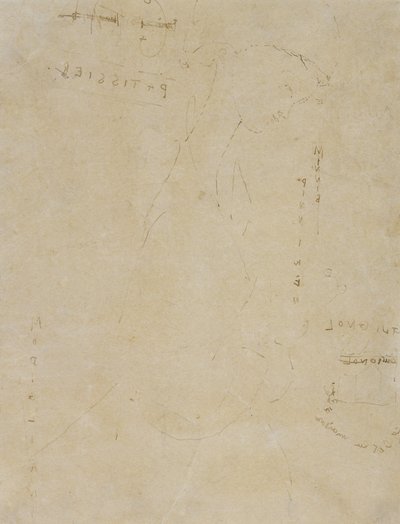 Szkic Minnie Pinniken w cukierni (pióro i atrament na papierze tkanym) autorstwa Amedeo Modigliani