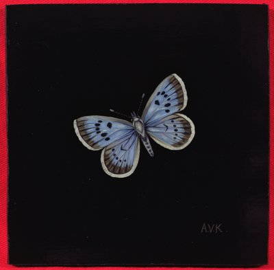 Duży niebieski motyl, 2000 autorstwa Amelia Kleiser