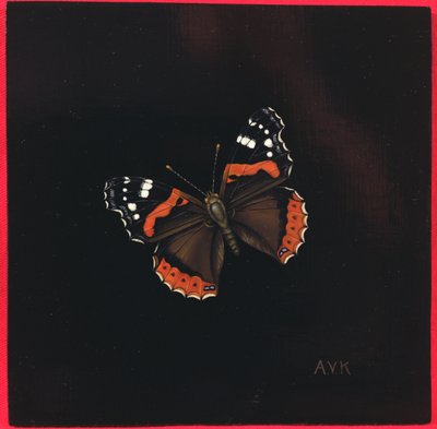 Czerwony motyl admirał, 2001 autorstwa Amelia Kleiser