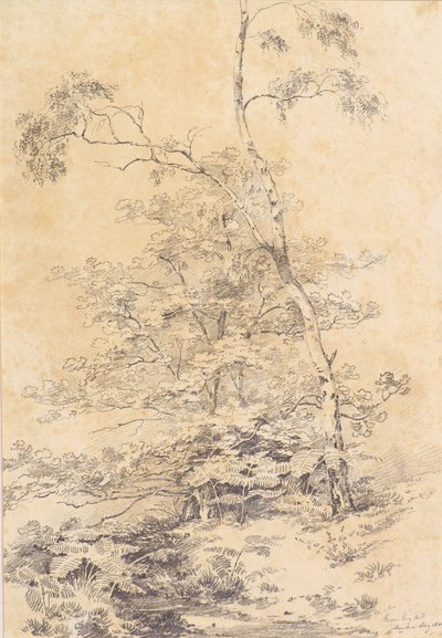Bromley Hill autorstwa Amelia Long