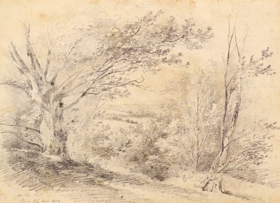 Bromley Hill autorstwa Amelia Long