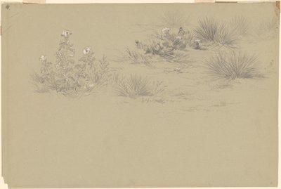 Kwitnące krzewy i rośliny pustynne autorstwa American 19th Century after John Frederick Kensett