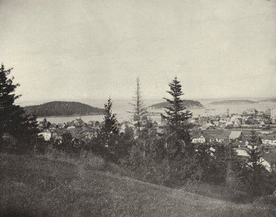 Bar Harbor, Maine (zdjęcie czarno-białe) autorstwa American Photographer (after)