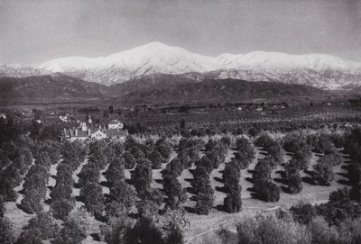 Kalifornia: Redlands, z Smiley Heights, słońce, gaje pomarańczowe i ośnieżone szczyty (zdjęcie czarno-białe) autorstwa American Photographer (after)