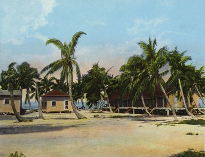 Domki w Long Key Fishing Camp (zdjęcie) autorstwa American Photographer (after)