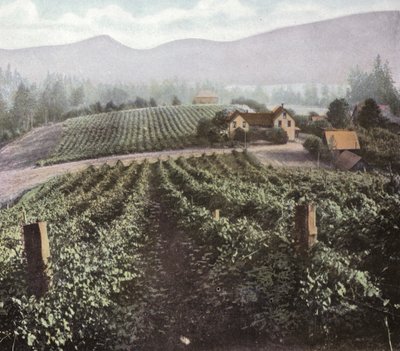 Oregon: Zróżnicowane rolnictwo w Dolinie Willamette (zdjęcie) autorstwa American Photographer (after)