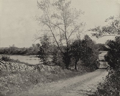 Windham Frog Pond, Windham, Connecticut (zdjęcie czarno-białe) autorstwa American Photographer (after)
