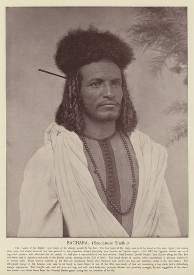 Bachara, szejk sudański autorstwa American Photographer