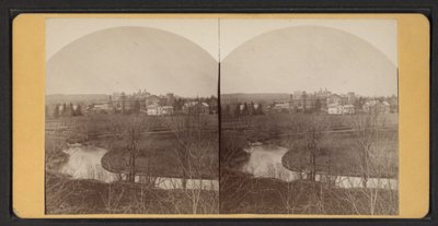 Budynki mieszkalne z lotu ptaka, ok. 1870 r. (zdjęcie czarno-białe) autorstwa American Photographer