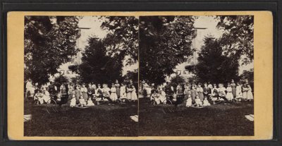 Dzieci i plac zabaw, społeczność Oneida, stan Nowy Jork, ok. 1870 (zdjęcie czarno-białe) autorstwa American Photographer