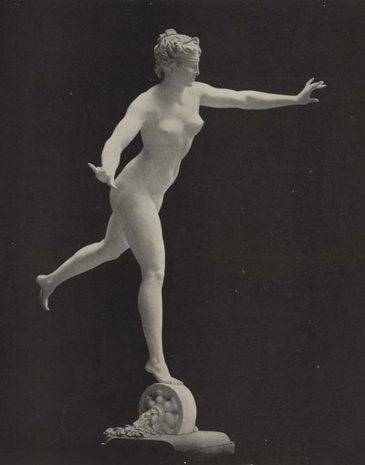 Fortuna autorstwa American Photographer