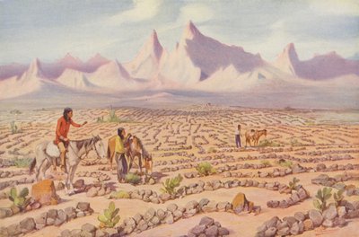 Mistyczny labirynt Indian Mojave w pobliżu Needles w Kalifornii (zdjęcie kolorowe) autorstwa American Photographer