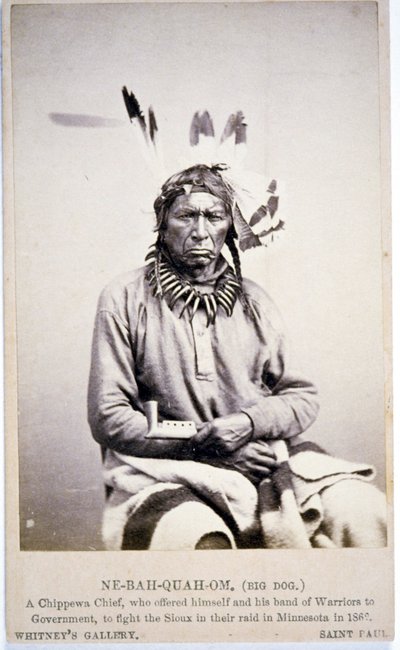 NE-BAH-QUAH-OM,Big Dog, Chippewa Chief, zaproponował walkę z Sioux w Minnesocie autorstwa American Photographer