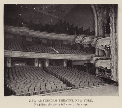 New Amsterdam Theatre, Nowy Jork (zdjęcie czarno-białe) autorstwa American Photographer