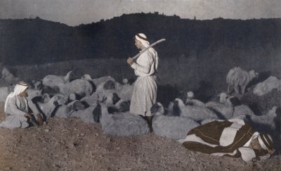 Palestyńscy pasterze obserwujący swoje stada nocą (zdjęcie kolorowe) autorstwa American Photographer