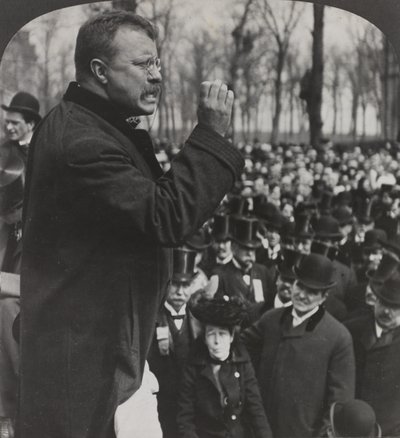 Prezydent Roosevelt w Evanston autorstwa American Photographer