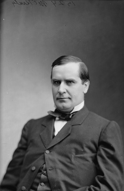 Prezydent William McKinley, 1870-80 autorstwa American Photographer