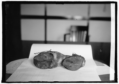 Prohibition Unit (Cow Shoes), 28 czerwca 1924 (zdjęcie czarno-białe) autorstwa American Photographer