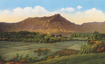 Pola ryżowe, Oahu (zdjęcie kolorowe) autorstwa American Photographer