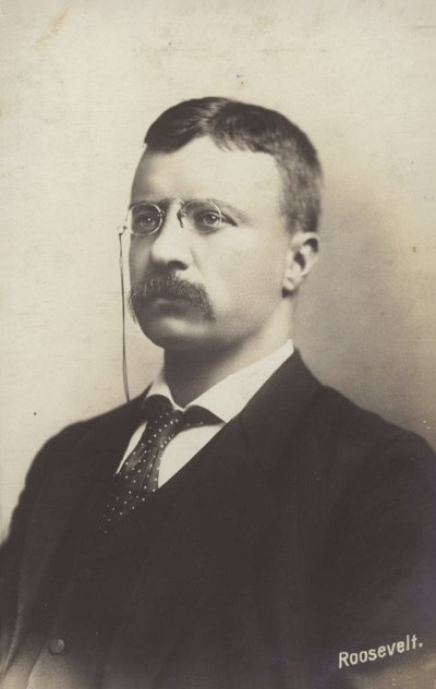 Roosevelta autorstwa American Photographer