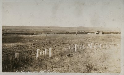 Scena na polu bitwy pod Custer autorstwa American Photographer