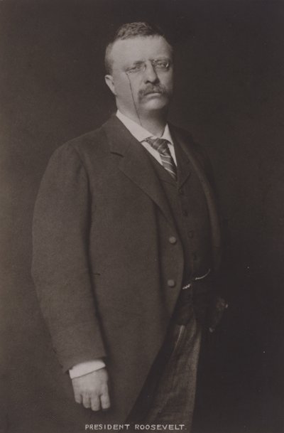 Theodore Roosevelt, 26 prezydent Stanów Zjednoczonych, 1904 autorstwa American Photographer