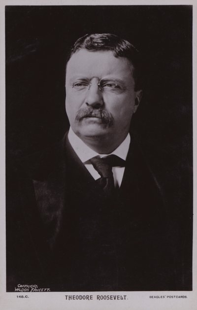 Theodore Roosevelt, amerykański polityk i 26. prezydent Stanów Zjednoczonych (zdjęcie czarno-białe) autorstwa American Photographer