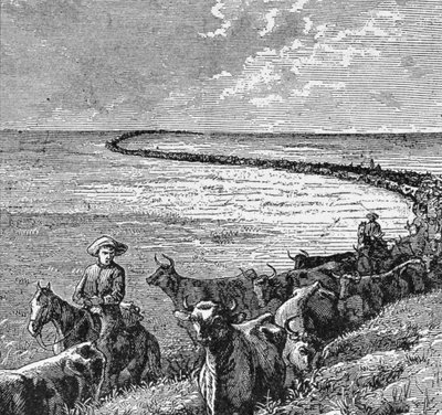 Szlak na wielkich równinach, ilustracja z „Harper