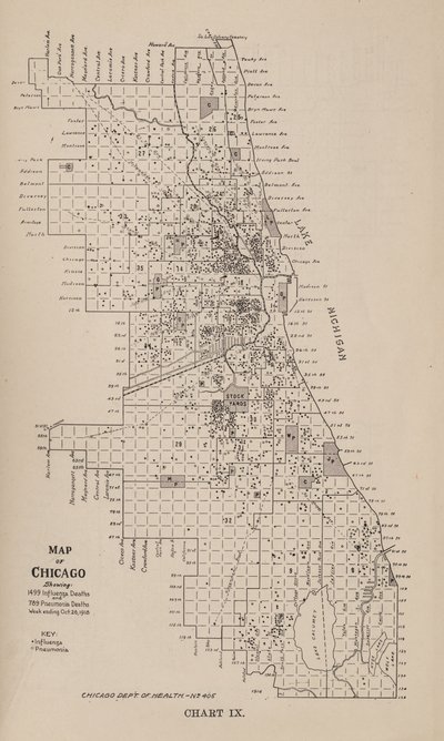 Raport o epidemii grypy w Chicago jesienią 1918 r. autorstwa American School