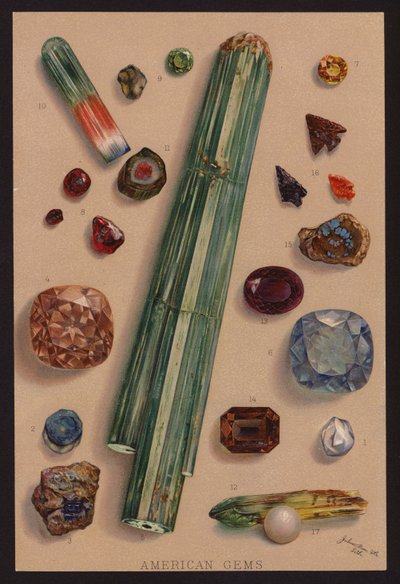 Amerykańskie klejnoty (kolorowa litografia) autorstwa American School