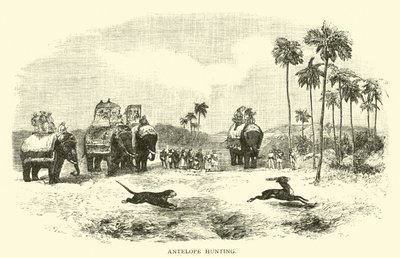Polowanie na antylopy autorstwa American School