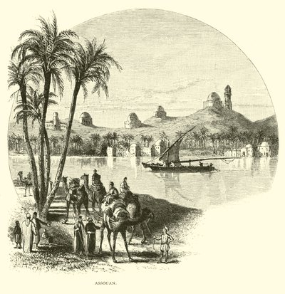 Asuan autorstwa American School